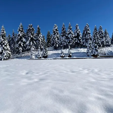 Hotel Naoussa Mountain