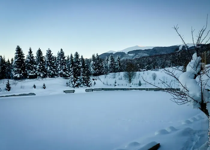 Hotel Naoussa Mountain